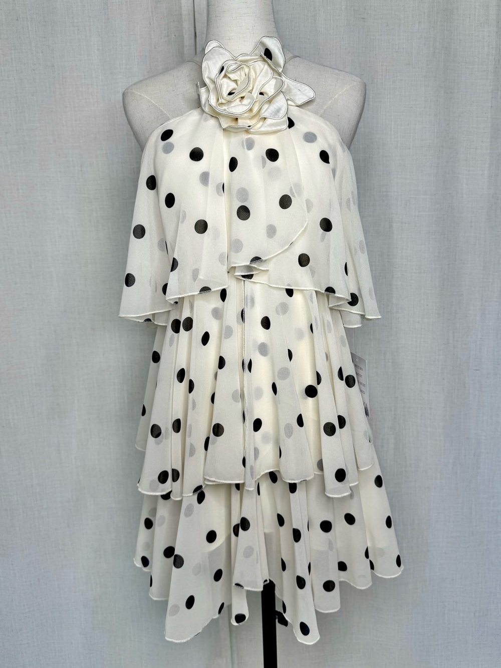 Mestiza New York Keepsake Chiffon Dot Ruffle Mini Dress Size XS NWT